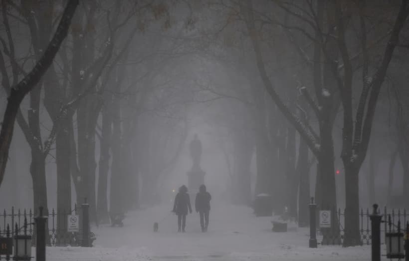 Intenso ciclón provoca nevadas, cortes de energía y suspensión de vuelos en EU