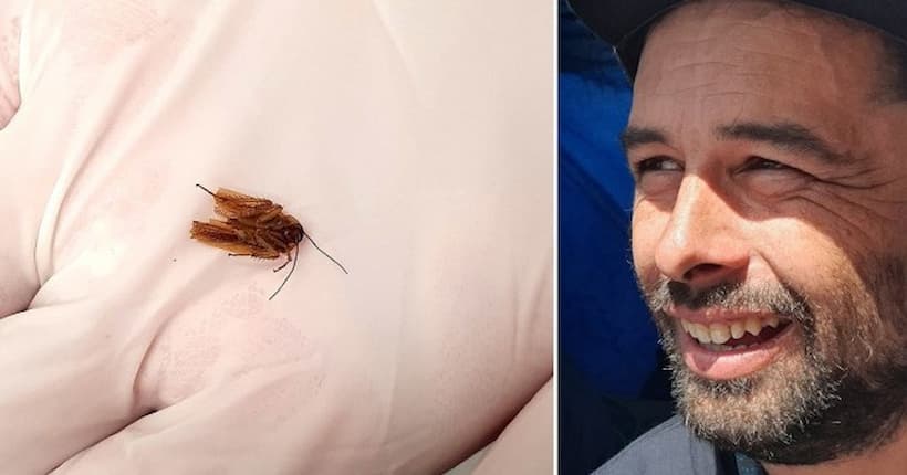 Sentía una ‘pequeña molestia’ en el oído; le sacan una cucaracha