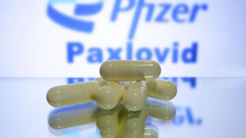 Aprueba Cofepris uso de Paxlovid en México