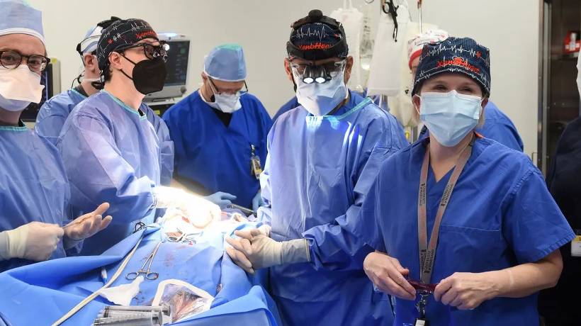 Transplantan el corazón de un cerdo a un humano por primera vez