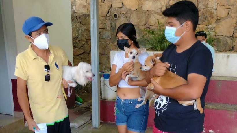 Ofrecen en Acapulco desparasitación y antirrábica para mascotas