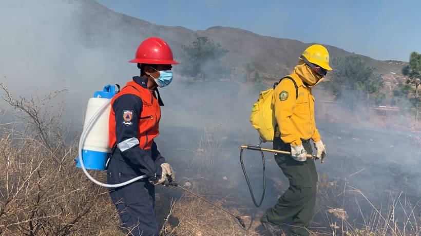 Arde Guerrero: Incendio consumió más de 100 hectáreas de la sierra de Atoyac