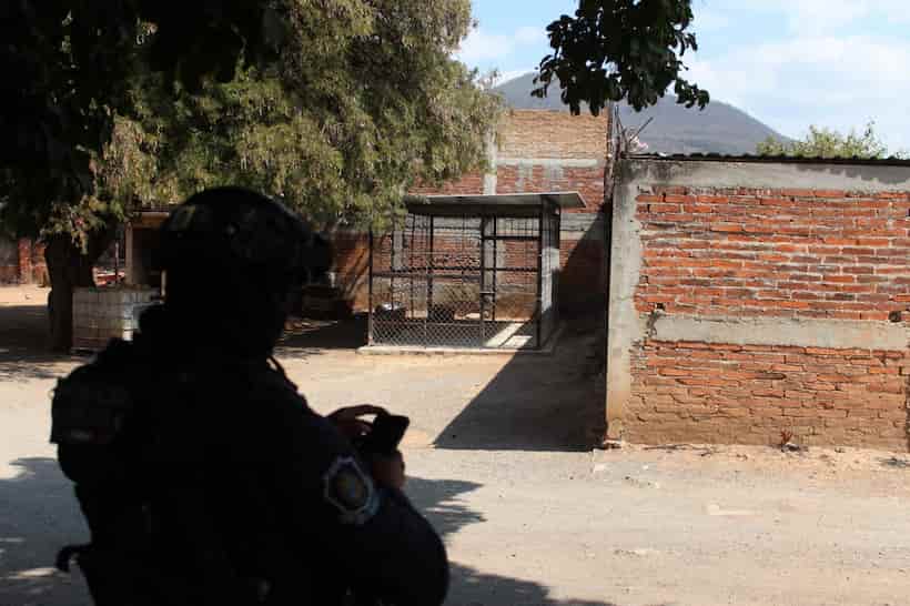 Investiga Profepa desaparición de tigres en Quechultenango