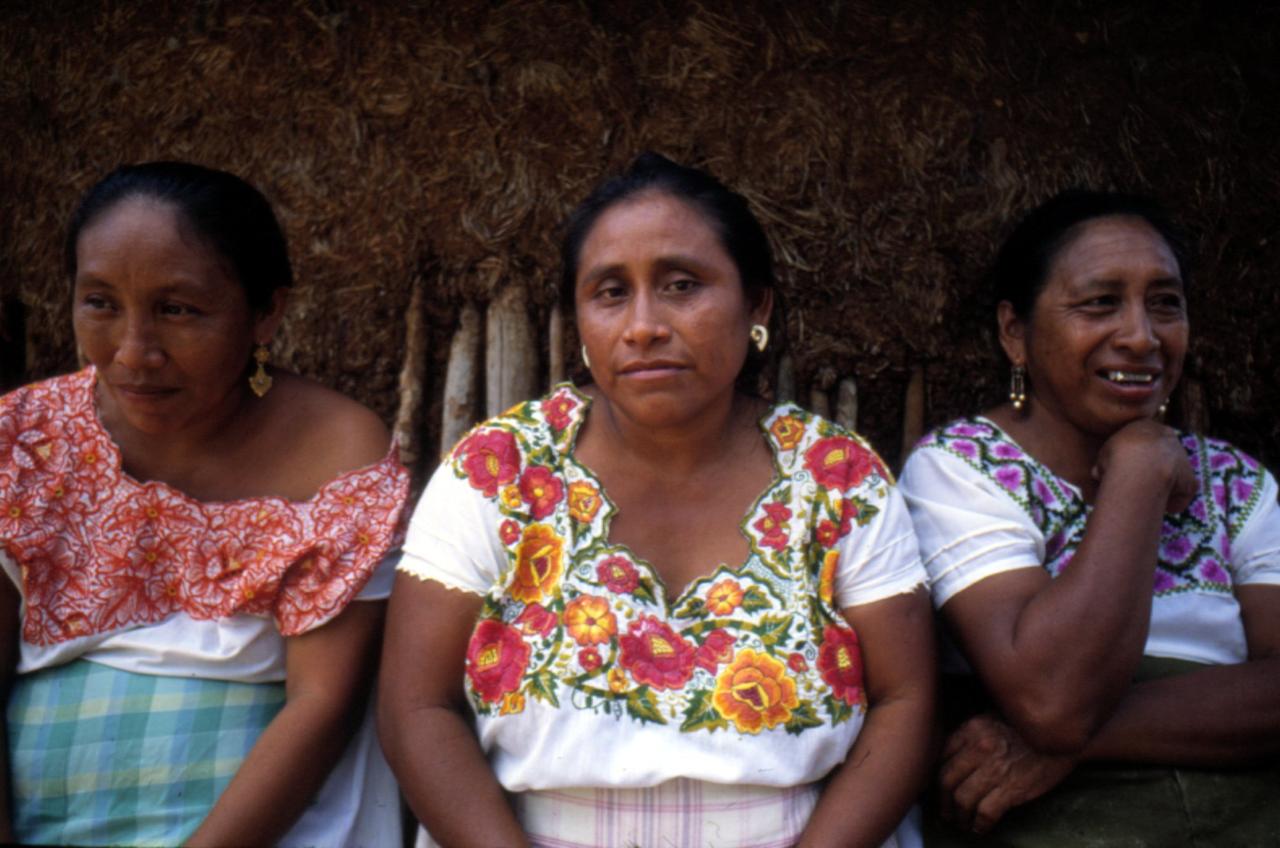 Pobreza y violencia estructural en la Montaña de Guerrero revictimiza a niñas y mujeres