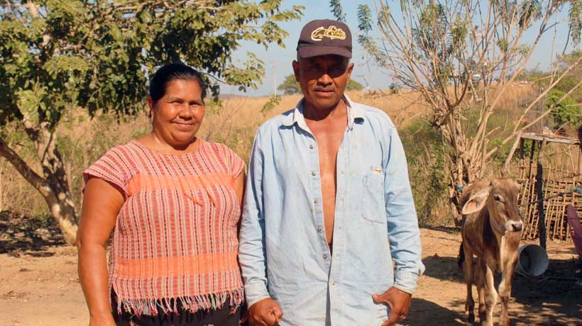 Prepara Guerrero histórico proceso de consulta a indígenas y afromexicanos