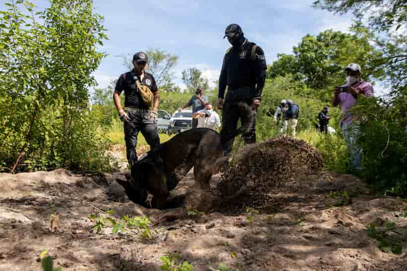 Buscan a Vicente Suástegui en zona rural de Acapulco