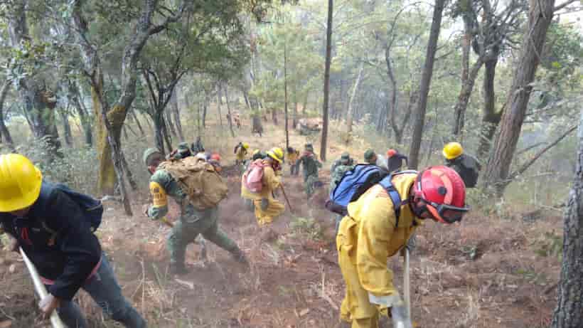 Registra Guerrero 4 incendios forestales activos