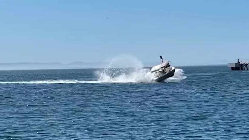 VIDEO: Choca bote contra ballena en BCS