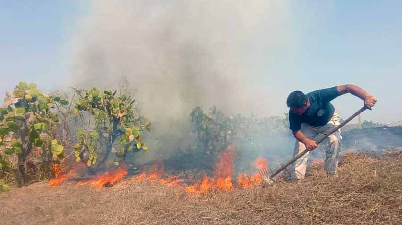 Se incendian pastizales cerca del aeropuerto de Acapulco