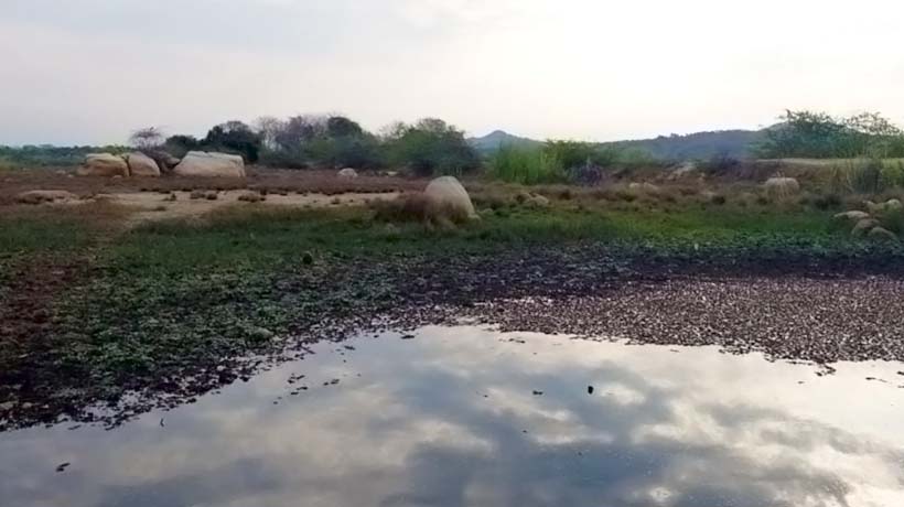 Seca plaga una laguna de Copala, Guerrero