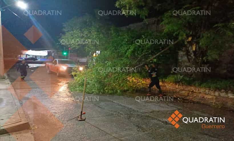 Lluvias provocan caída de árboles en varios municipios de Guerrero
