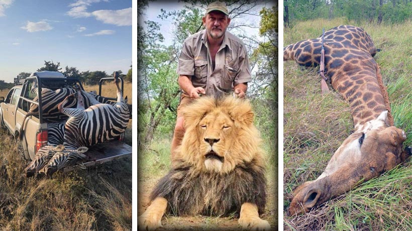 Investigan misterioso homicidio de empedernido cazador en Sudáfrica