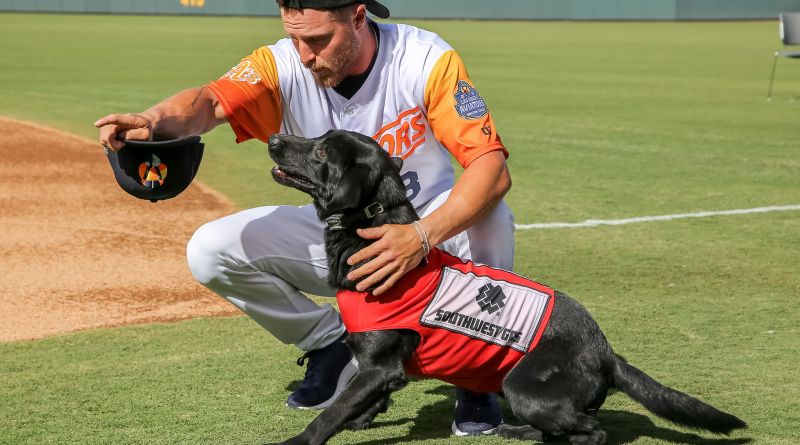 VIDEO: Perritos son aguadores en Ligas Menores de Béisbol