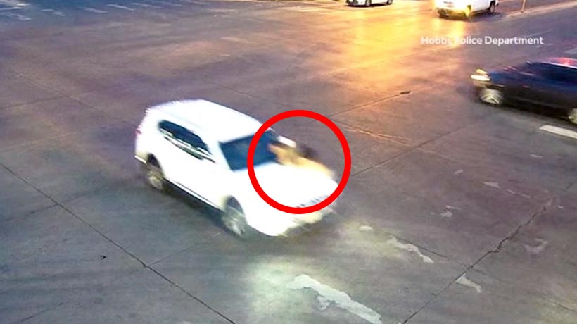 VIDEO: Madre se aferra a camioneta robada con sus hijas dentro