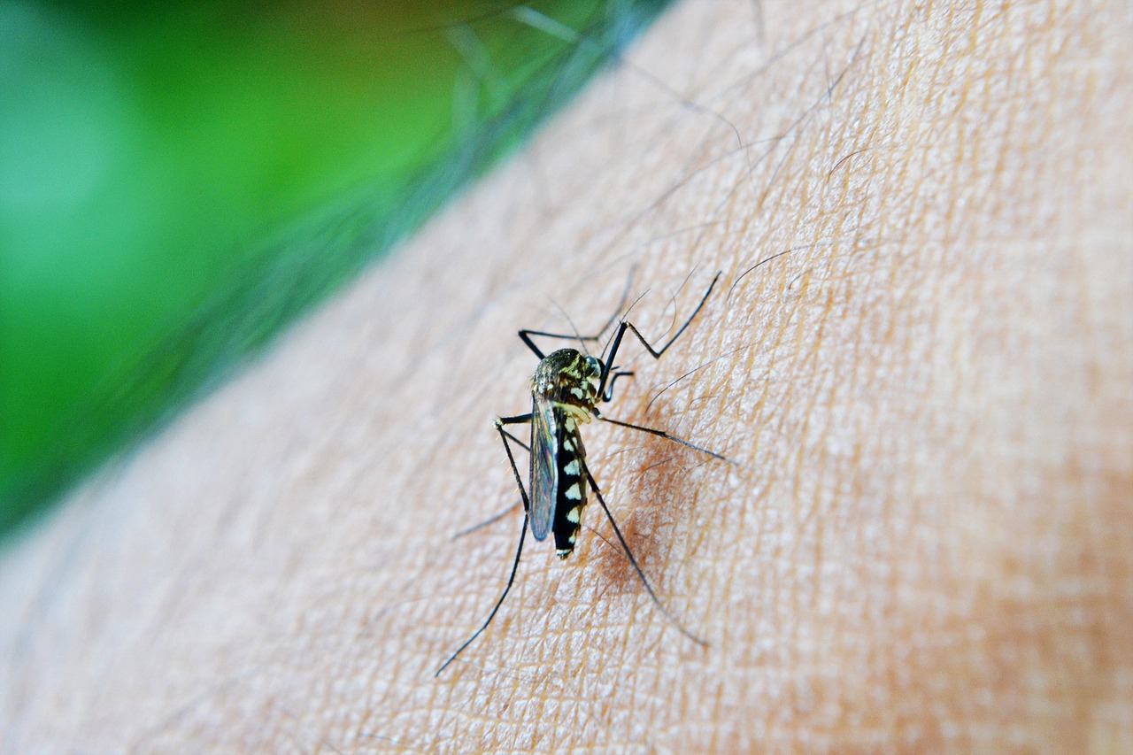 Registra Acapulco más de 30 casos confirmados de dengue
