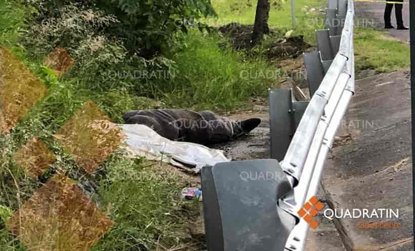 Hallan cuerpo de un hombre a orilla de la Autopista en Chilpancingo