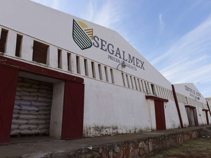 Irregularidades en Segalmex: Detectan desfalco por más de 9 mil mdp