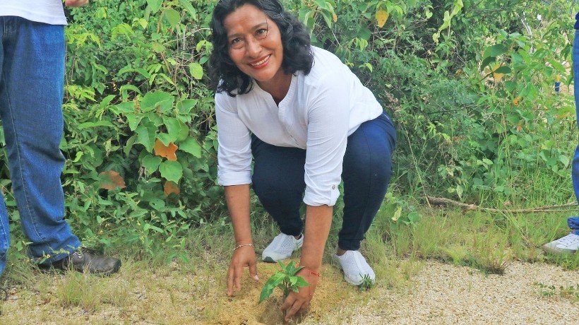 Acude Abelina López a reforestar El Veladero de Acapulco