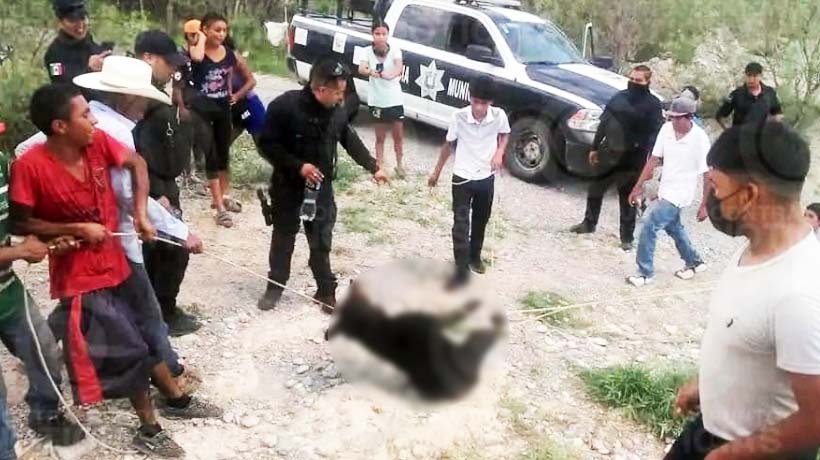 VIDEO: Torturan y matan en Coahuila a cría de oso negro
