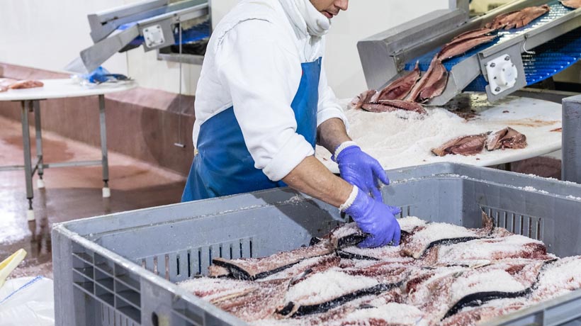 ¿Sabes de pescados y mariscos? Ofrece Canadá empleo por 75 mil al mes
