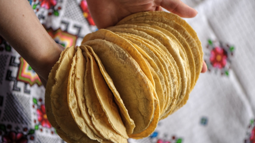 Buscará AMLO acuerdos para evitar incrementos al precio de la masa y la tortilla