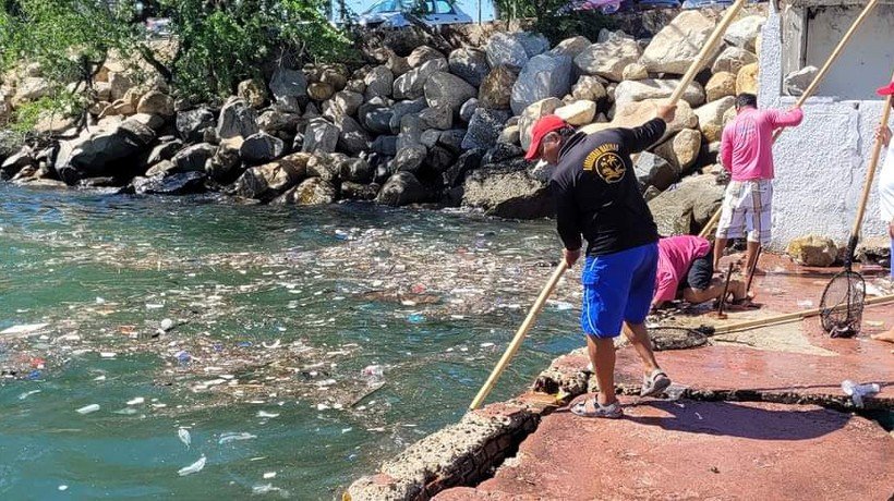 Limpian mar en Acapulco tras paso de Kay; piden no tirar basura a las calles
