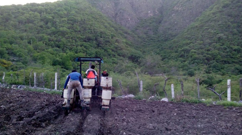 Buscan mejorar agricultura en Guerrero con tecnología satelital y drones