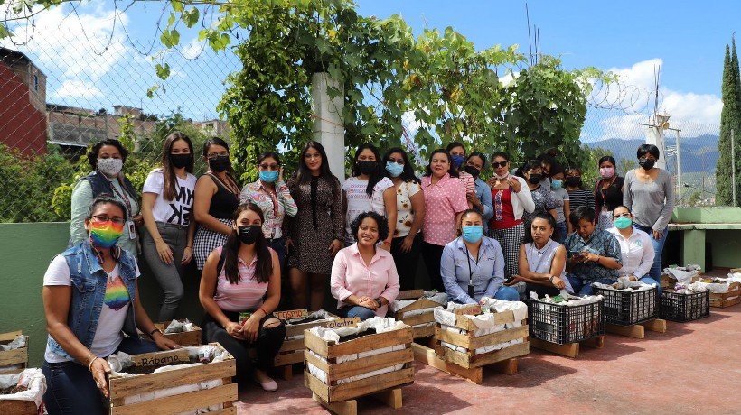 Con huerto orgánico, mujeres superan adicciones en Guerrero