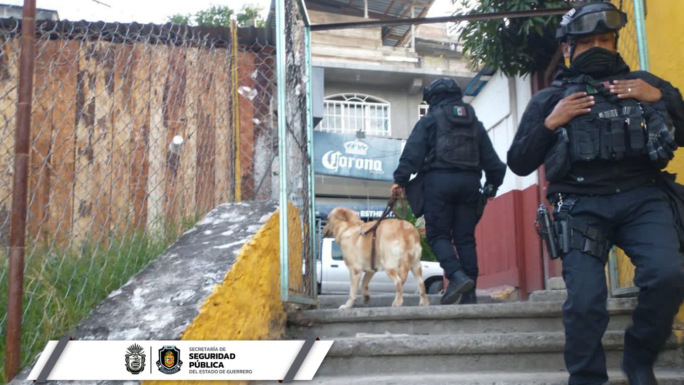 Detecta marihuana unidad canina en Chilpancingo