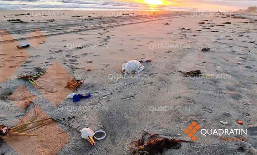 Encapuchados realizan ritos en playas de Coyuca de Benítez, denuncian