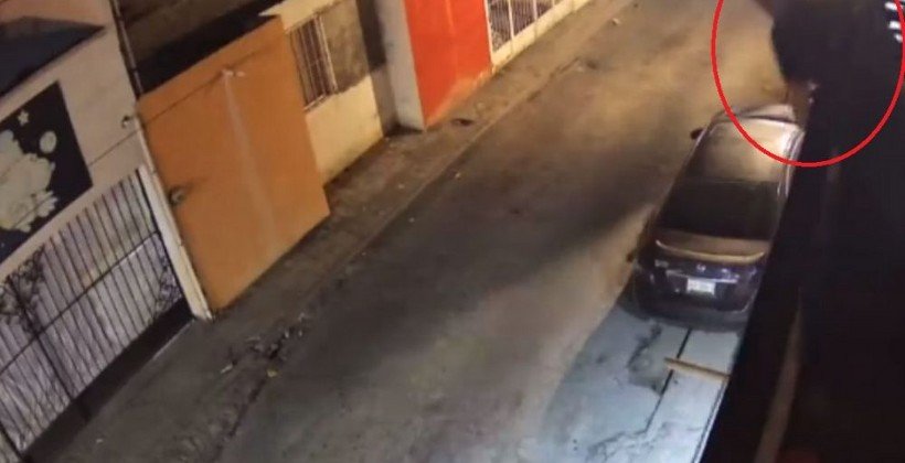 VIDEO: Asustan perros a ladrón en Saltillo; se cae desde terraza
