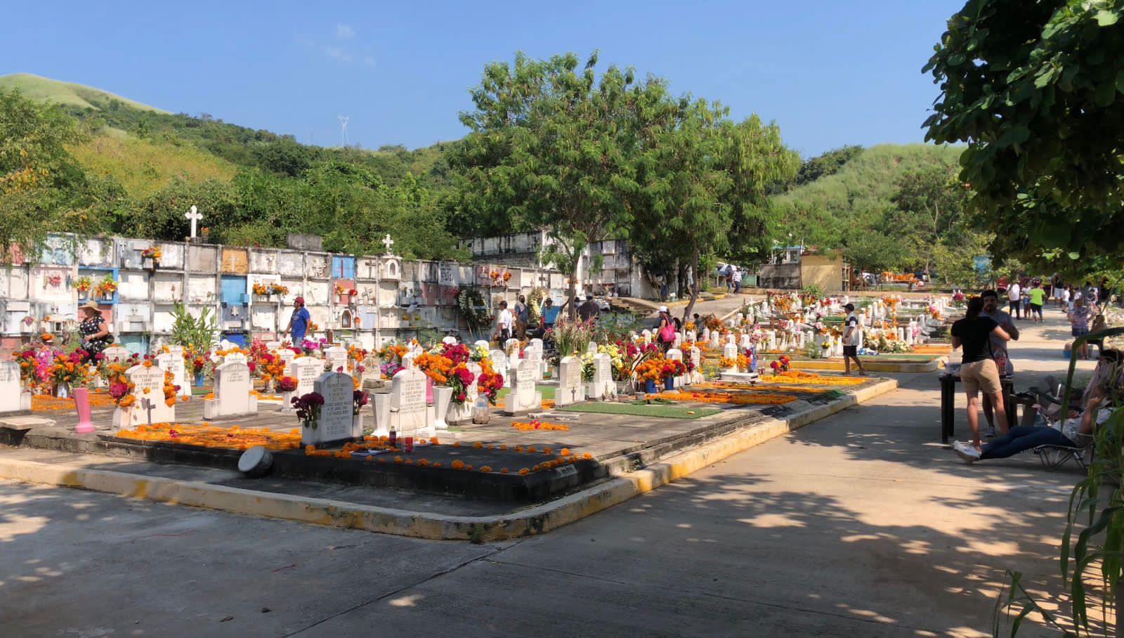 Más de 20 mil visitaron panteones en Acapulco: Abelina López