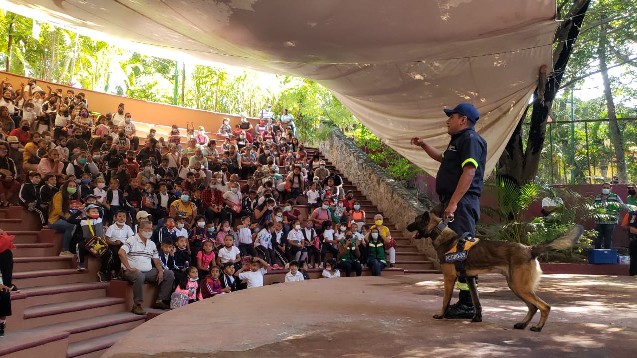 Dan en Zoochilpan capacitación de primeros auxilios y prevención de pirotecnia