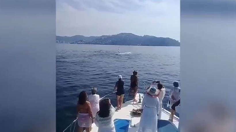 Captan una ballena y dos crías en bahía de Acapulco