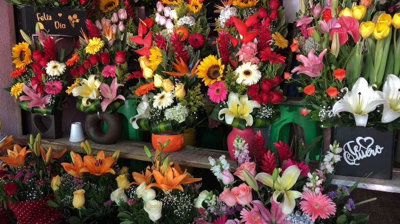 Por Día del Amor, se disparan precios de flores en Acapulco