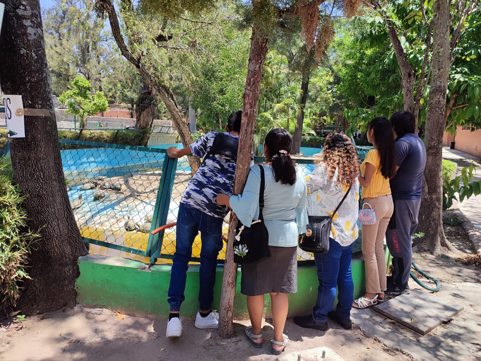 Durante Semana Santa, “Zoochilpan” recibió miles de visitantes