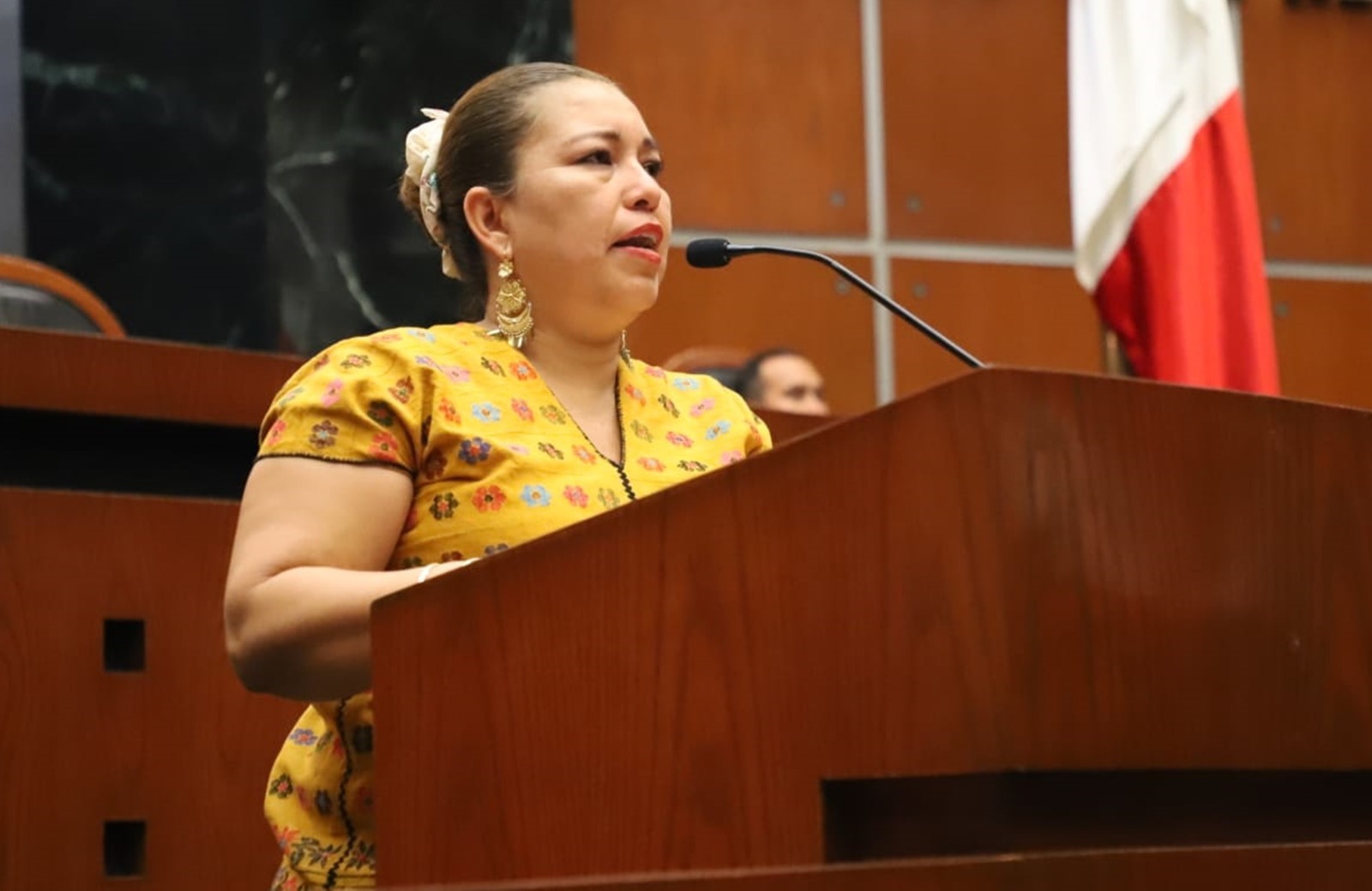 Congreso Guerrero: Exhortan a autoridades a atender comunidades de nuevos municipios