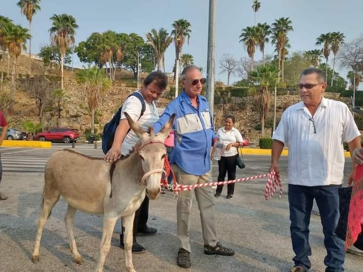 Llevan a burro “Manolín” a La Roqueta tras muerte de “Coqueta”