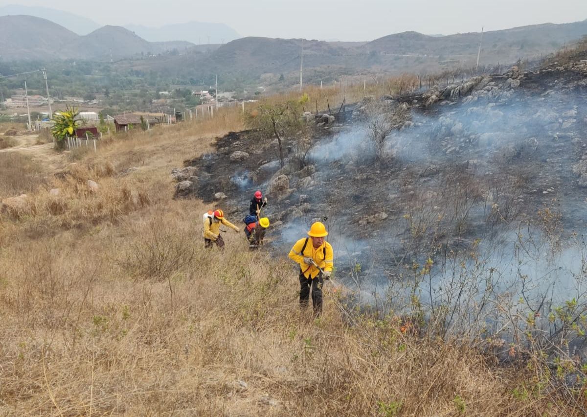 Refuerzan en Guerrero acciones de atención y prevención de incendios forestales