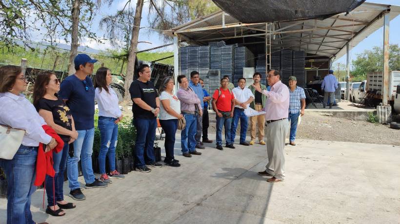 Gobierno de Guerrero dona 300 mil árboles para reforestación