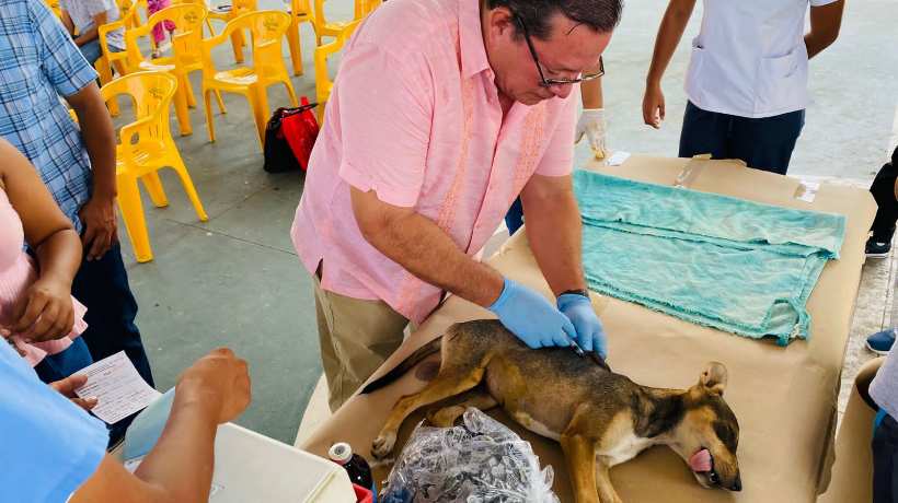 Suman en Acapulco más de 300 esterilizaciones de mascotas
