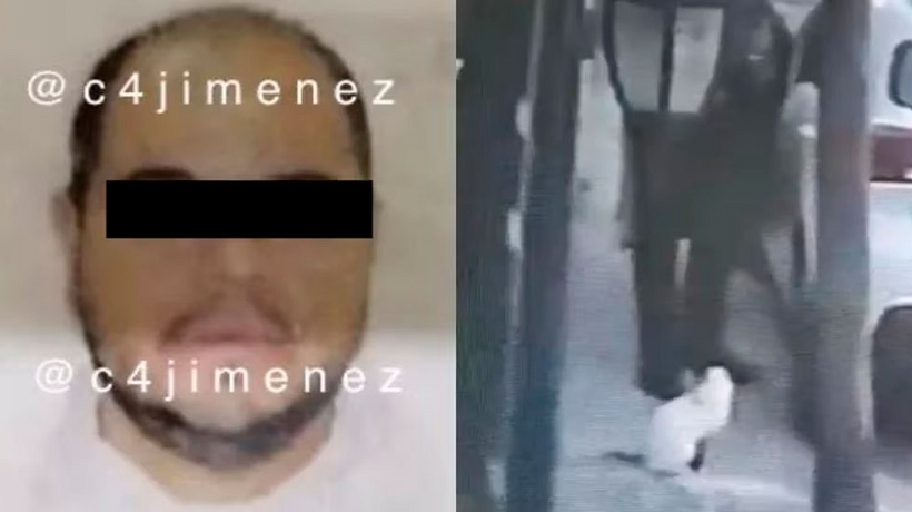 Detienen a uno por asesinato de gato en Tlalnepantla
