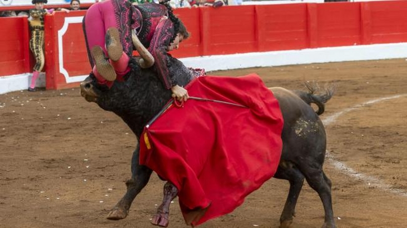 VIDEO: Casi muere torero Andrés Roca Rey tras brutal cornada