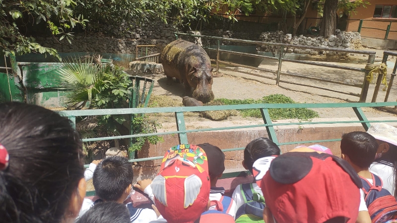 Presentan reforma para gestión de zoológicos en Guerrero