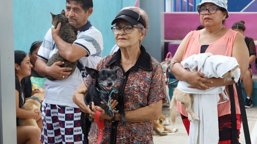 Buscan esterilizar a dos mil mascotas en Acapulco
