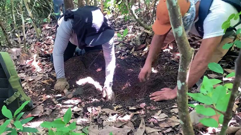 Descubren 5 cuerpos en fosas clandestinas en Acapulco