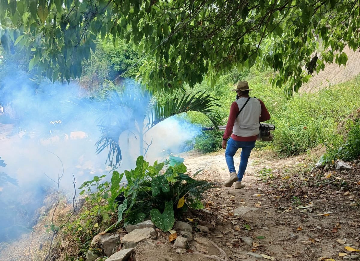 Se regisitran casi mil casos de dengue en Guerrero: SSG