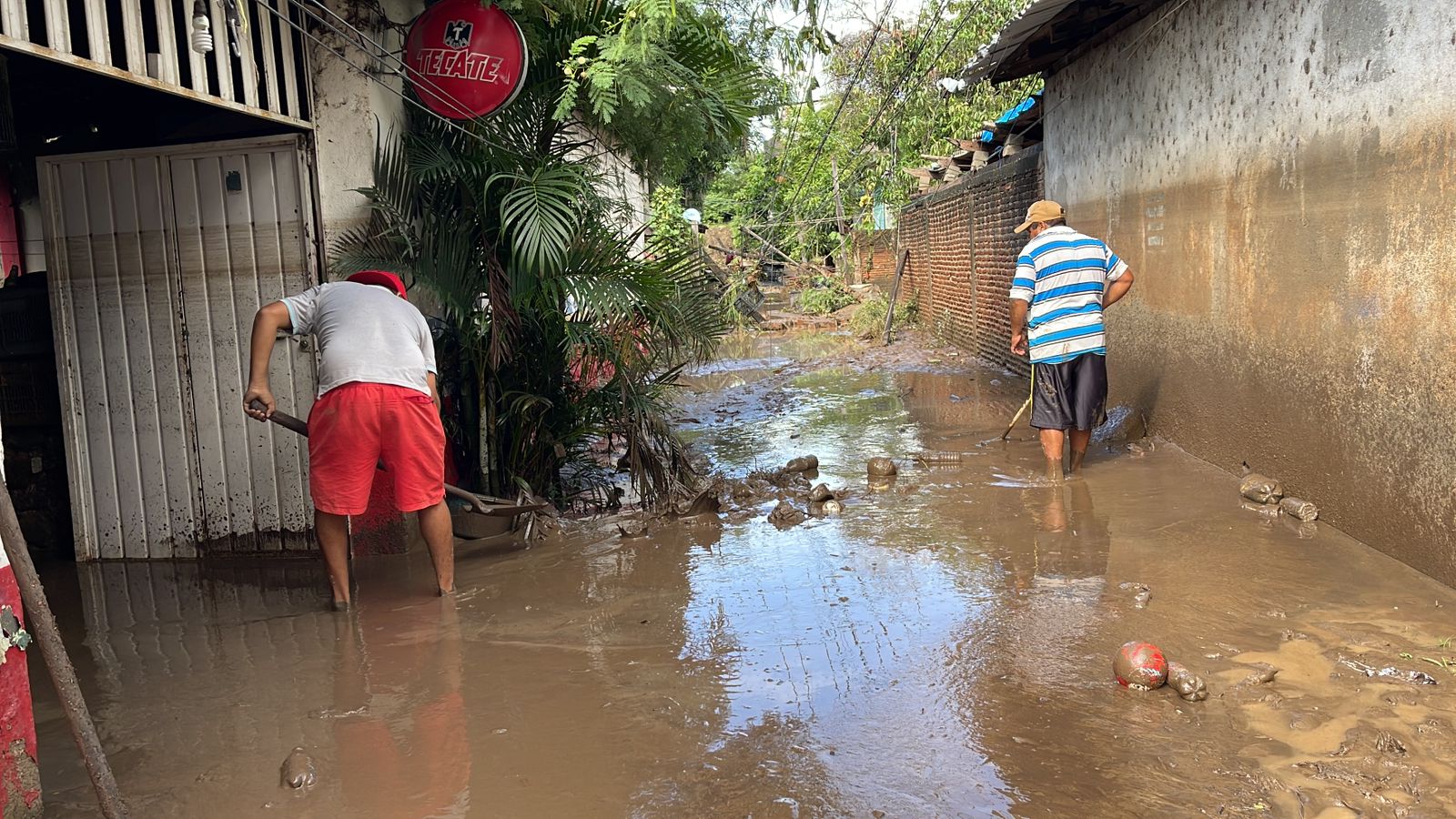 Tormenta Max provocó afectaciones en más de 3 mil 800 viviendas en Guerrero