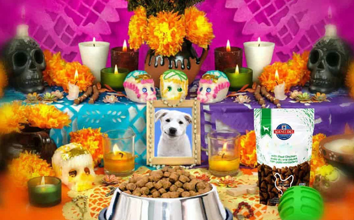 Día de Muertos: Te decimos cuando poner la ofrenda para tus mascotas