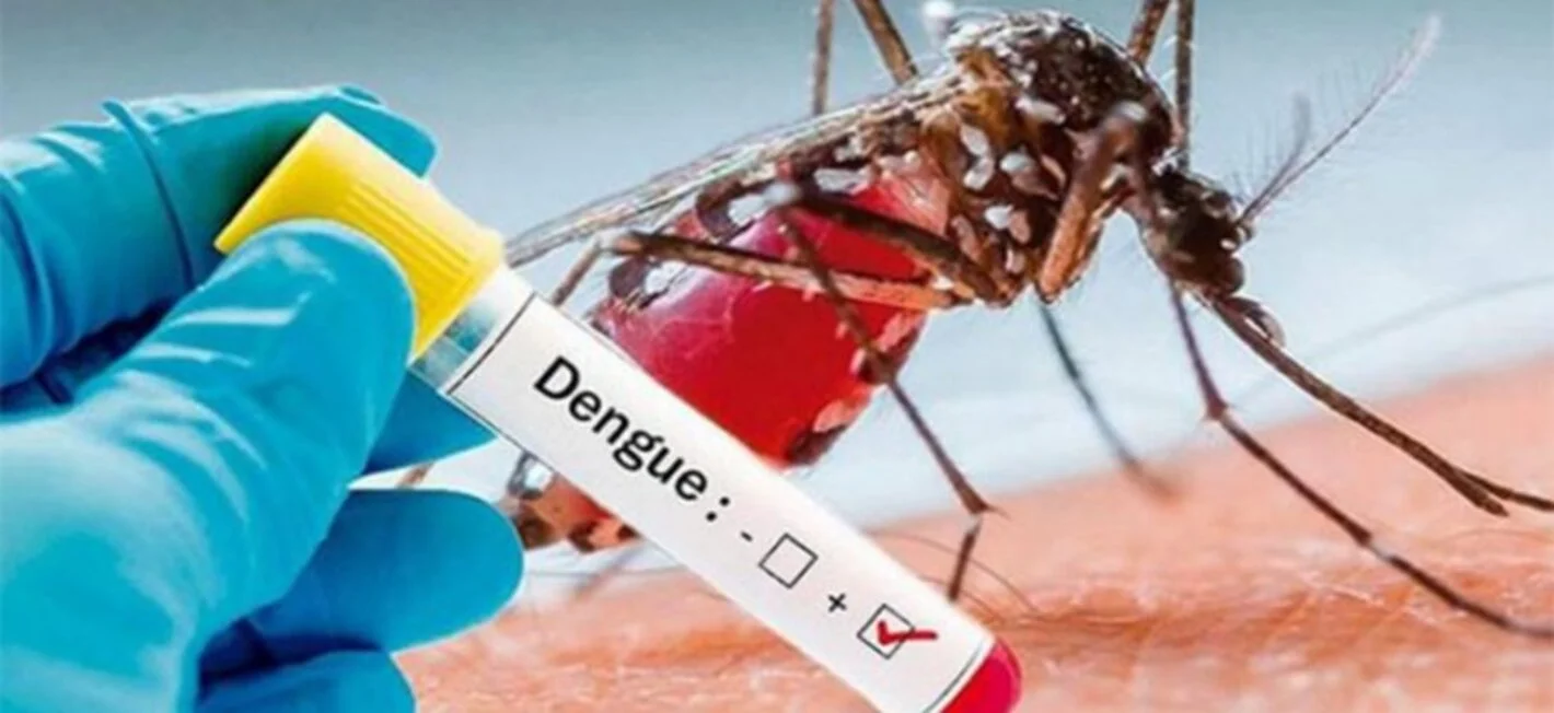 Piden campañas para controlar el Dengue